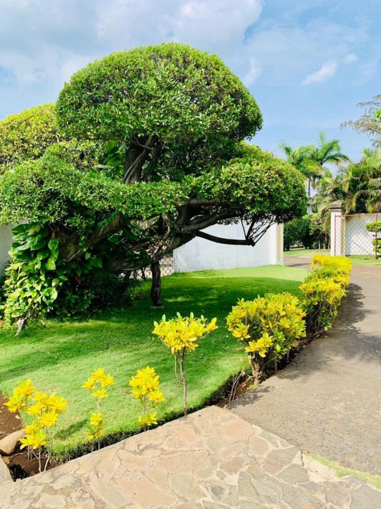Hotel Casa Del Sol Managua Ngoại thất bức ảnh